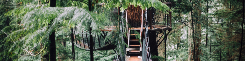 Pictured a beautiful green rainforest, high up in the tree tops is a walk bridge leading to a tree top house
