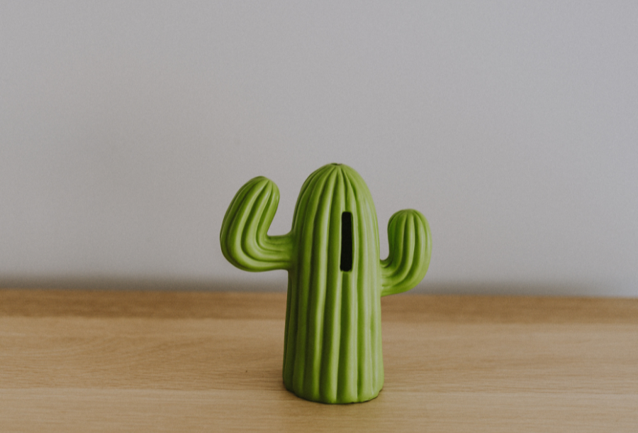 Green money box in the shape of a cactus, with arms up in the air and the slot where the money goes at the front and centre, placed on a hardwood bench and a muted grey wall in the background