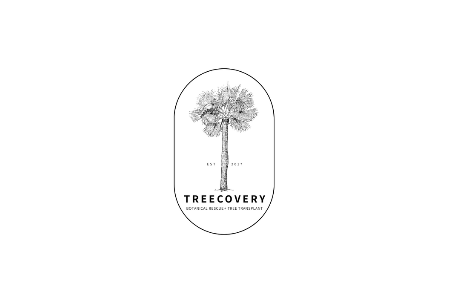 In the centre of a white background, an over shaped black outline housing a beautiful hand sketched palm-like tree with the words "treecovery" in bold