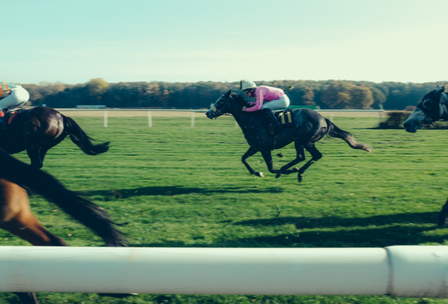 Pictured, a brown horse racing in a horse race in the centre, with the tails of other horse racing on the left hand side