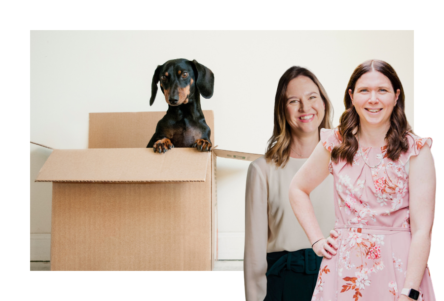 Pictured, a beautiful black and brown sausage dog standing up in a brown cardboard box. Next to the image is Gabrielle Andersen and Karlene Wightman.