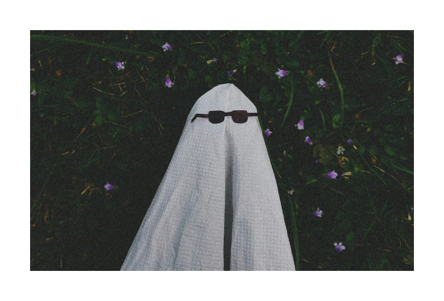 Pictured, a white sheet with a pair of black sunglasses appearing so as to seem as a ghost. In the background is a luscious outdoor green bush with small purple flowers.